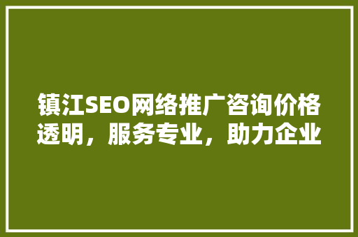 镇江SEO网络推广咨询价格透明，服务专业，助力企业提升网络竞争力  第1张