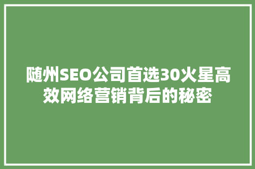 随州SEO公司首选30火星高效网络营销背后的秘密