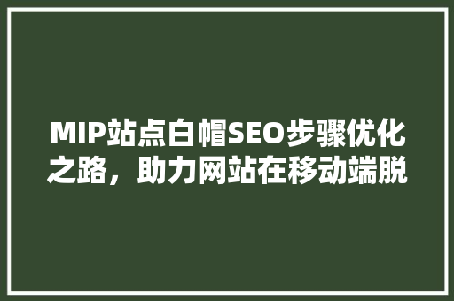 MIP站点白帽SEO步骤优化之路，助力网站在移动端脱颖而出