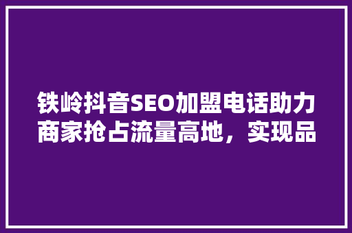 铁岭抖音SEO加盟电话助力商家抢占流量高地，实现品牌腾飞