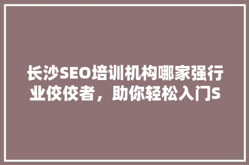 长沙SEO培训机构哪家强行业佼佼者，助你轻松入门SEO领域