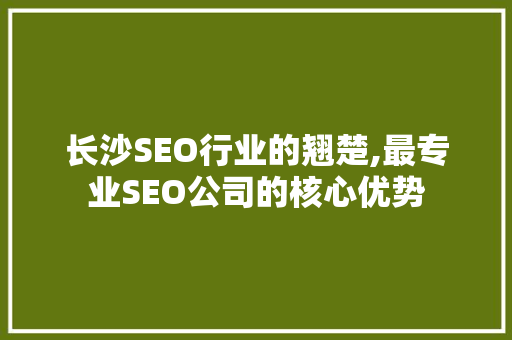 长沙SEO行业的翘楚,最专业SEO公司的核心优势