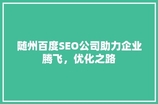 随州百度SEO公司助力企业腾飞，优化之路