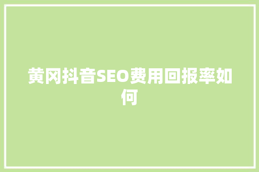 黄冈抖音SEO费用回报率如何