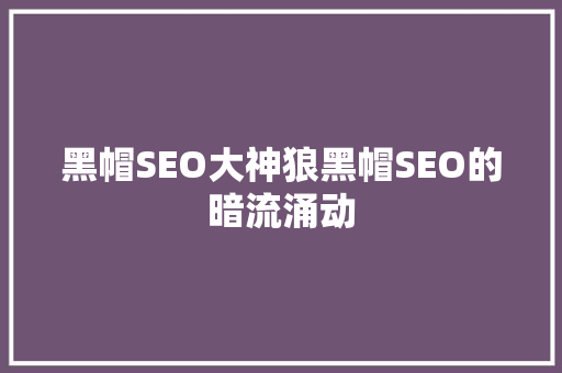 黑帽SEO大神狼黑帽SEO的暗流涌动
