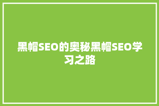 黑帽SEO的奥秘黑帽SEO学习之路