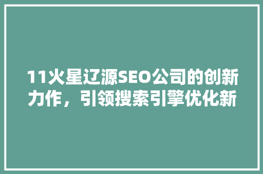 11火星辽源SEO公司的创新力作，引领搜索引擎优化新潮流