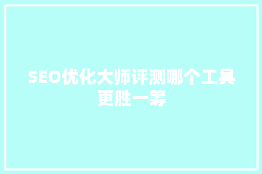SEO优化大师评测哪个工具更胜一筹