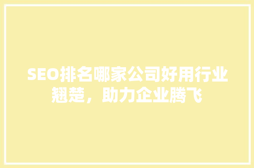 SEO排名哪家公司好用行业翘楚，助力企业腾飞