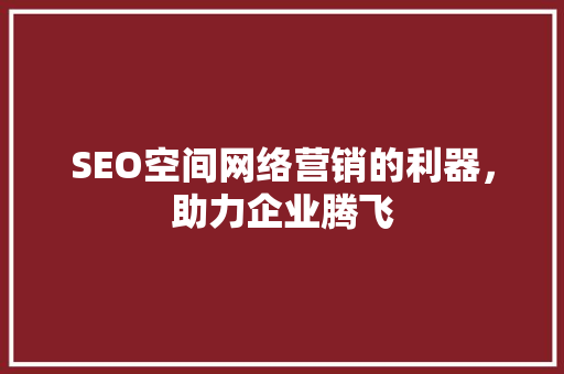 SEO空间网络营销的利器，助力企业腾飞