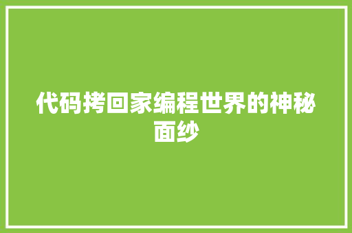 代码拷回家编程世界的神秘面纱