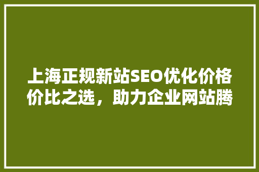 上海正规新站SEO优化价格价比之选，助力企业网站腾飞
