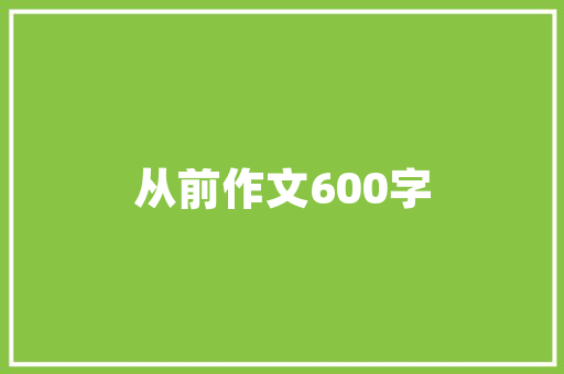 出参代码背后的智慧与魅力