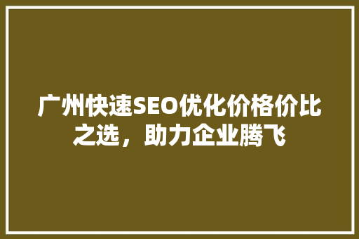 广州快速SEO优化价格价比之选，助力企业腾飞