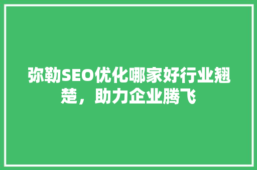 弥勒SEO优化哪家好行业翘楚，助力企业腾飞
