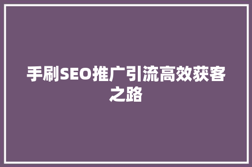 手刷SEO推广引流高效获客之路