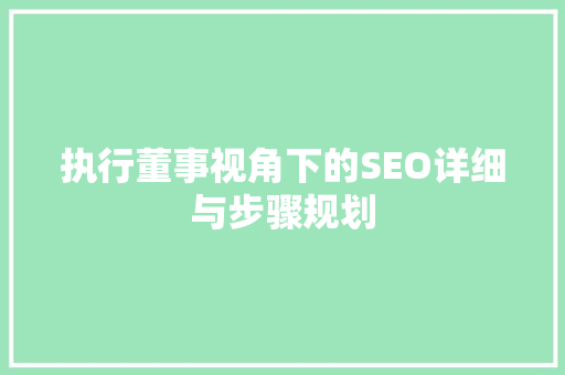 执行董事视角下的SEO详细与步骤规划