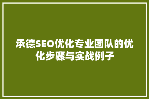 承德SEO优化专业团队的优化步骤与实战例子