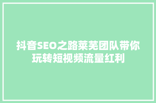 抖音SEO之路莱芜团队带你玩转短视频流量红利