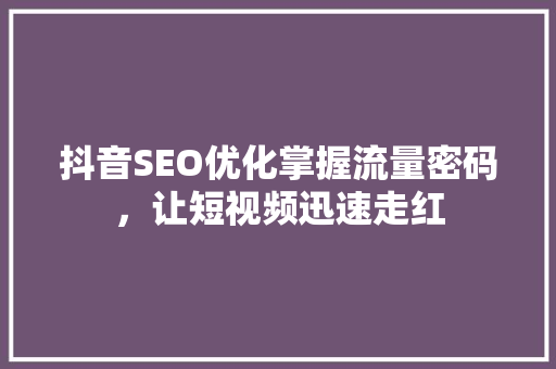 抖音SEO优化掌握流量密码，让短视频迅速走红