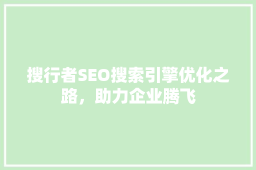 搜行者SEO搜索引擎优化之路，助力企业腾飞