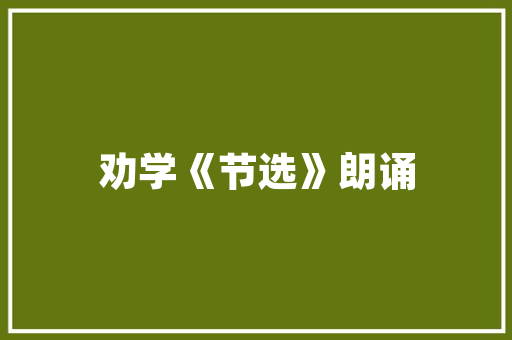 JavaScript图片滚动技术的魅力与应用探析