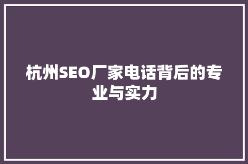 杭州SEO厂家电话背后的专业与实力