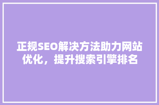 正规SEO解决方法助力网站优化，提升搜索引擎排名