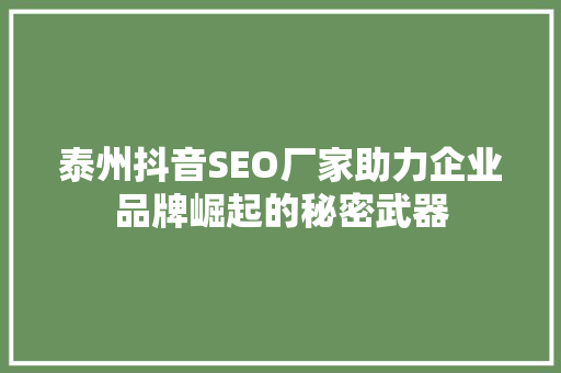 泰州抖音SEO厂家助力企业品牌崛起的秘密武器