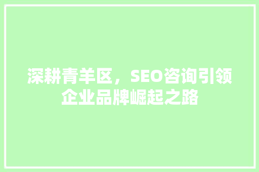 深耕青羊区，SEO咨询引领企业品牌崛起之路