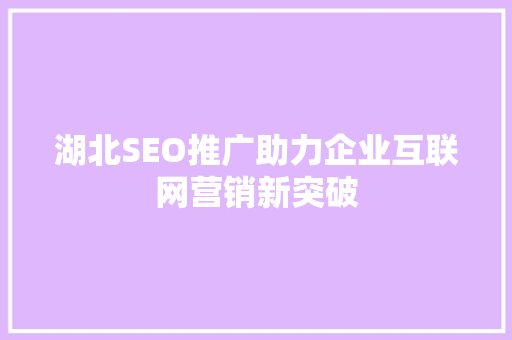湖北SEO推广助力企业互联网营销新突破
