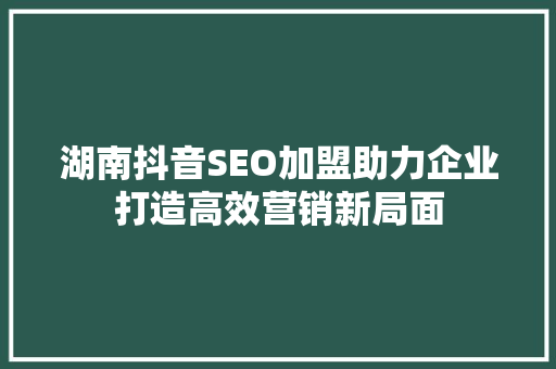 湖南抖音SEO加盟助力企业打造高效营销新局面