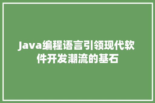Java编程语言引领现代软件开发潮流的基石