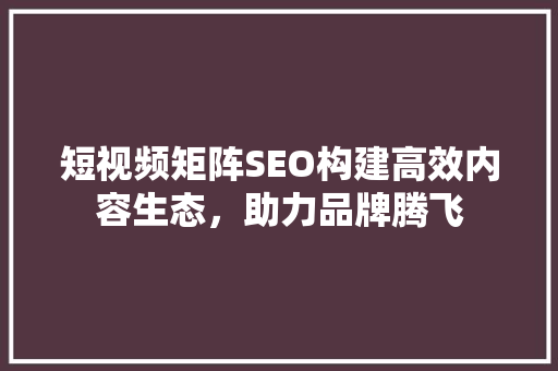 短视频矩阵SEO构建高效内容生态，助力品牌腾飞