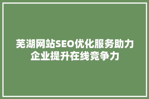芜湖网站SEO优化服务助力企业提升在线竞争力