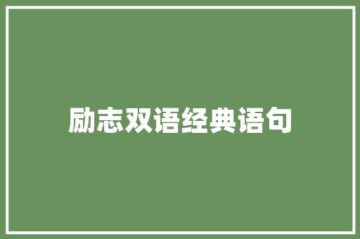 西安专业SEO优化助力企业互联网营销腾飞之路  第1张