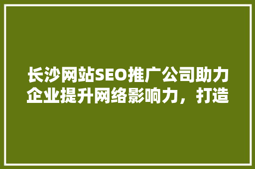 长沙网站SEO推广公司助力企业提升网络影响力，打造品牌新高度