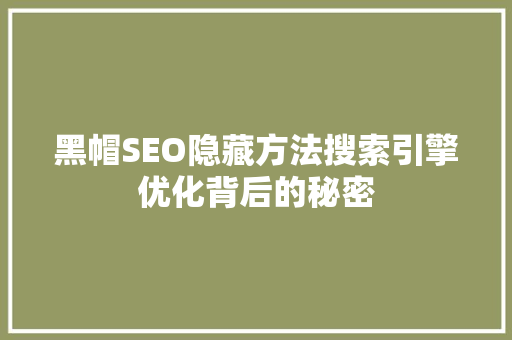 黑帽SEO隐藏方法搜索引擎优化背后的秘密  第1张