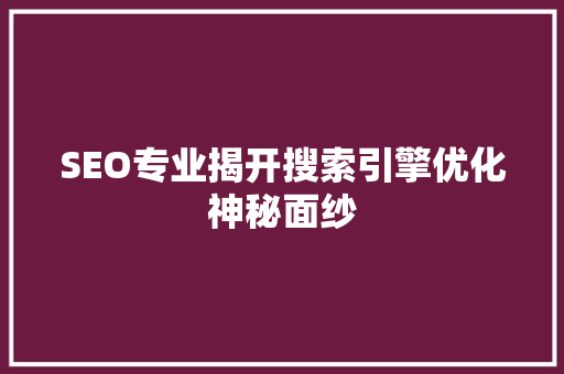 SEO专业揭开搜索引擎优化神秘面纱
