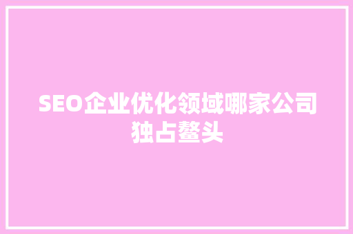 SEO企业优化领域哪家公司独占鳌头