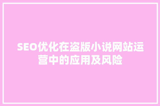 SEO优化在盗版小说网站运营中的应用及风险
