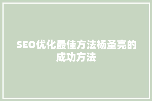 SEO优化最佳方法杨圣亮的成功方法