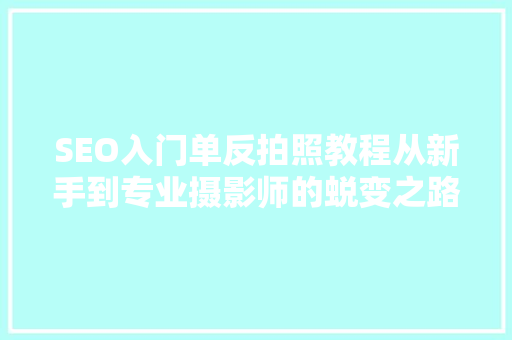 SEO入门单反拍照教程从新手到专业摄影师的蜕变之路