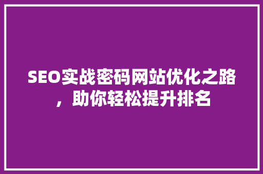 SEO实战密码网站优化之路，助你轻松提升排名