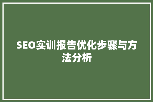 SEO实训报告优化步骤与方法分析