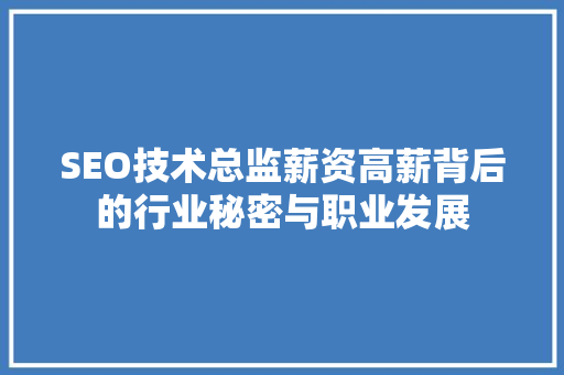 SEO技术总监薪资高薪背后的行业秘密与职业发展