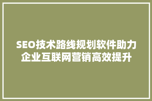 SEO技术路线规划软件助力企业互联网营销高效提升  第1张
