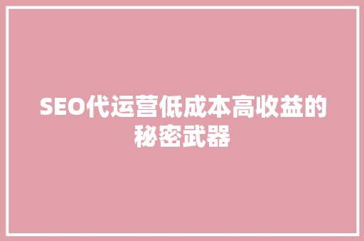 SEO代运营低成本高收益的秘密武器