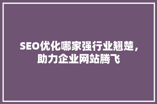 SEO优化哪家强行业翘楚，助力企业网站腾飞