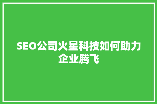 SEO公司火星科技如何助力企业腾飞